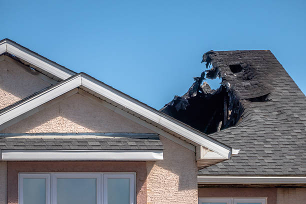 Top rated local Odor Removal specialists in Princeton, KY